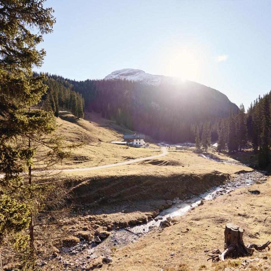Rifugio Malga Ra Stua Cortina dʼAmpezzo Exterior foto