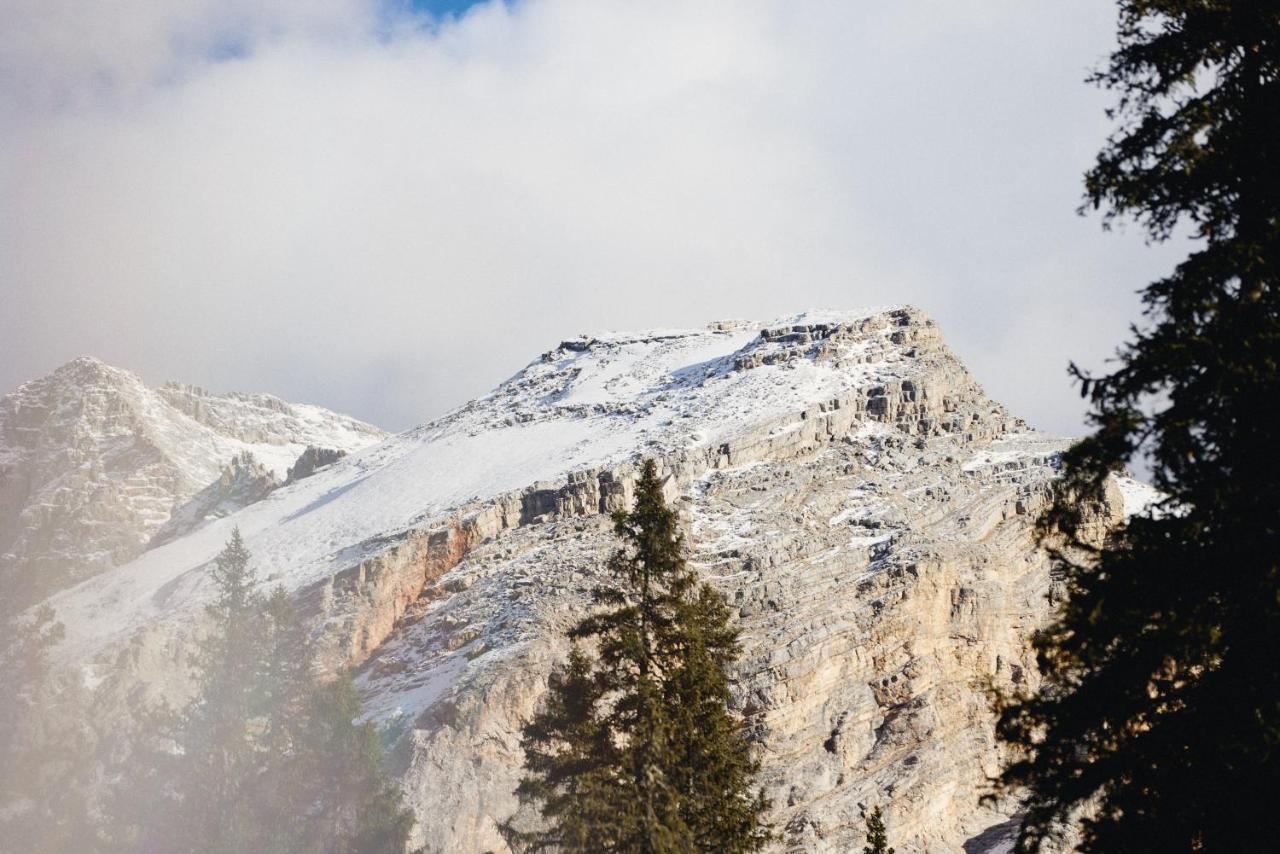 Rifugio Malga Ra Stua Cortina dʼAmpezzo Exterior foto