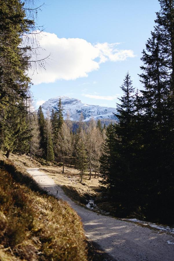 Rifugio Malga Ra Stua Cortina dʼAmpezzo Exterior foto