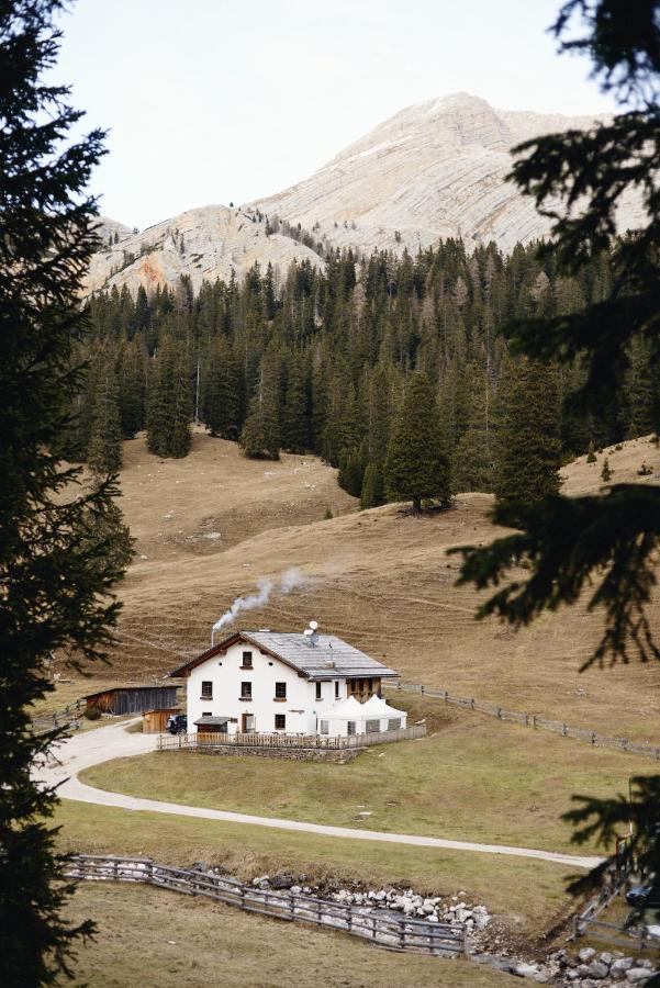 Rifugio Malga Ra Stua Cortina dʼAmpezzo Exterior foto